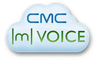 mVoice-logo-web